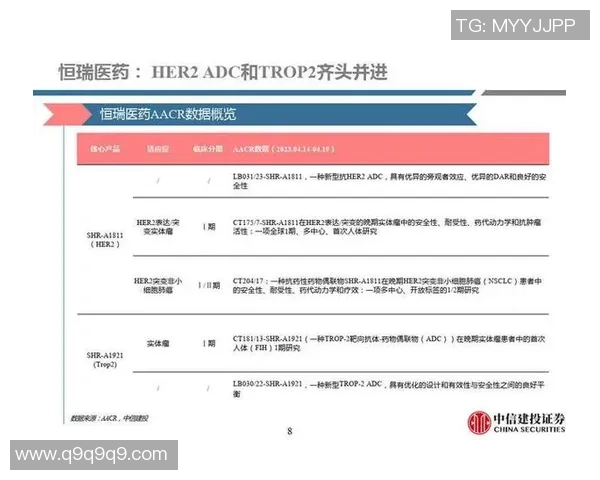 武汉排球队速度分析与战术创新的深度探讨与展望